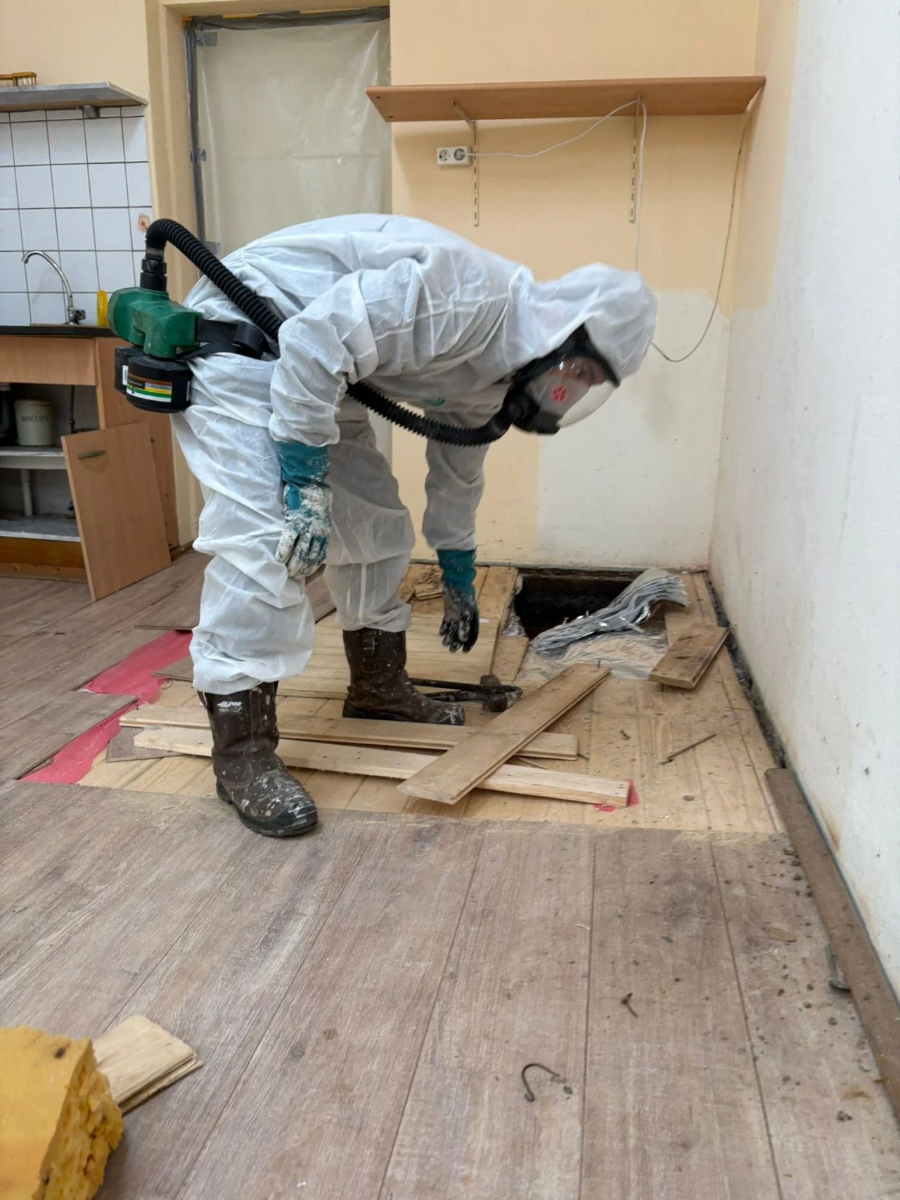 Sanering van zwam