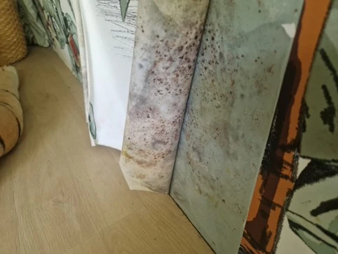 Schimmel in slaapkamer in Uithuizen