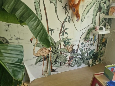 Schimmel in slaapkamer in Leek
