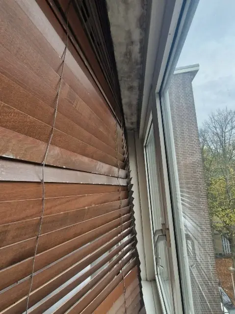 Schimmel verwijderen in Enschede